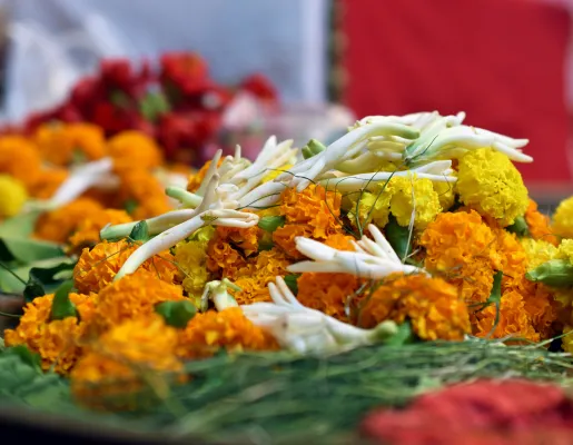 Karthigai Illumination