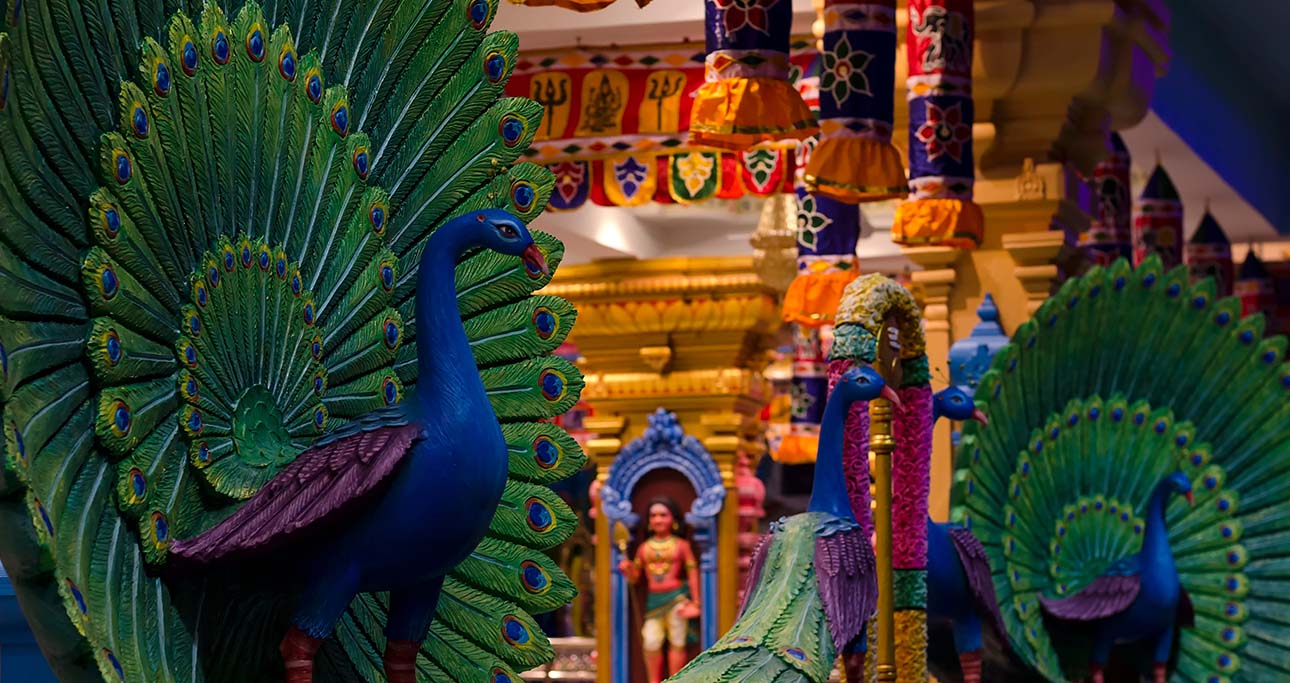 Celebrating Thaipusam: Devotion and Rituals in Honor of Lord Muruga