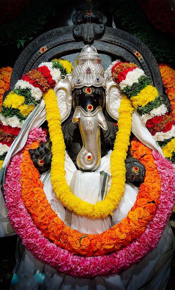 Annual Membership Image